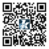Kiosk iOS QR (2)